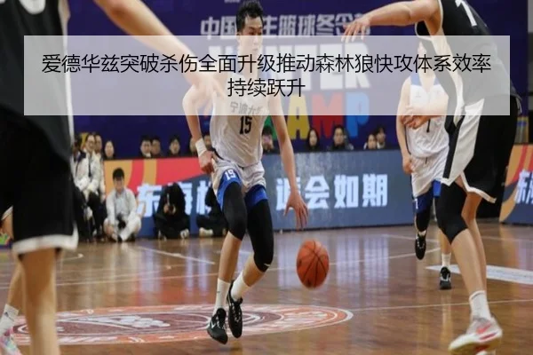 爱德华兹突破杀伤全面升级推动森林狼快攻体系效率持续跃升